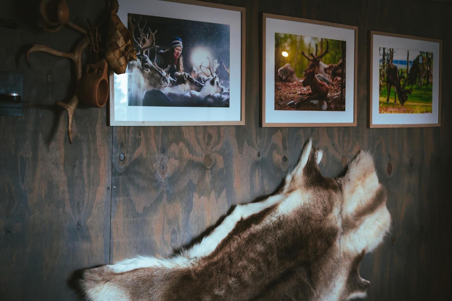 Reindeer Lodge Jukkasjärvi Екстериор снимка